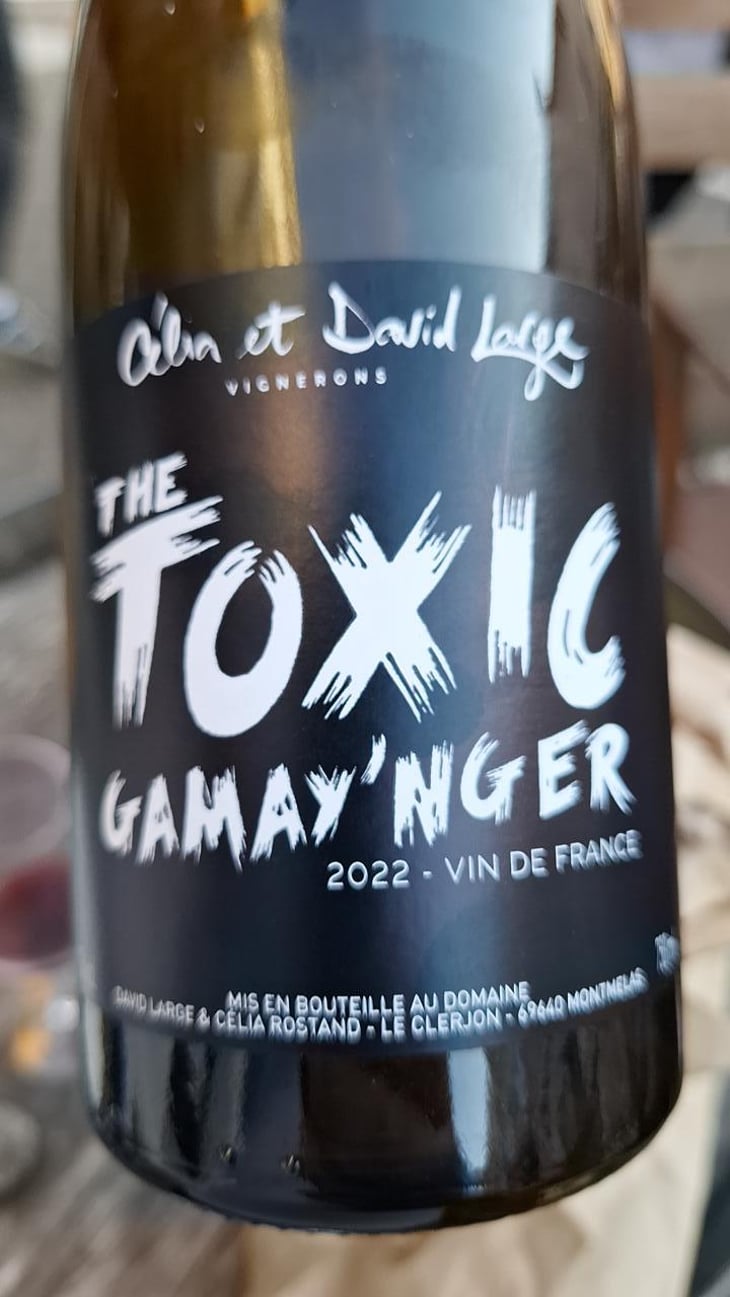 The Toxic Gamay'nger - David Large - Célia Rostand et David Large 