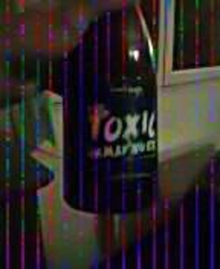 The Toxic Gamay'nger - David Large - Célia Rostand et David Large 