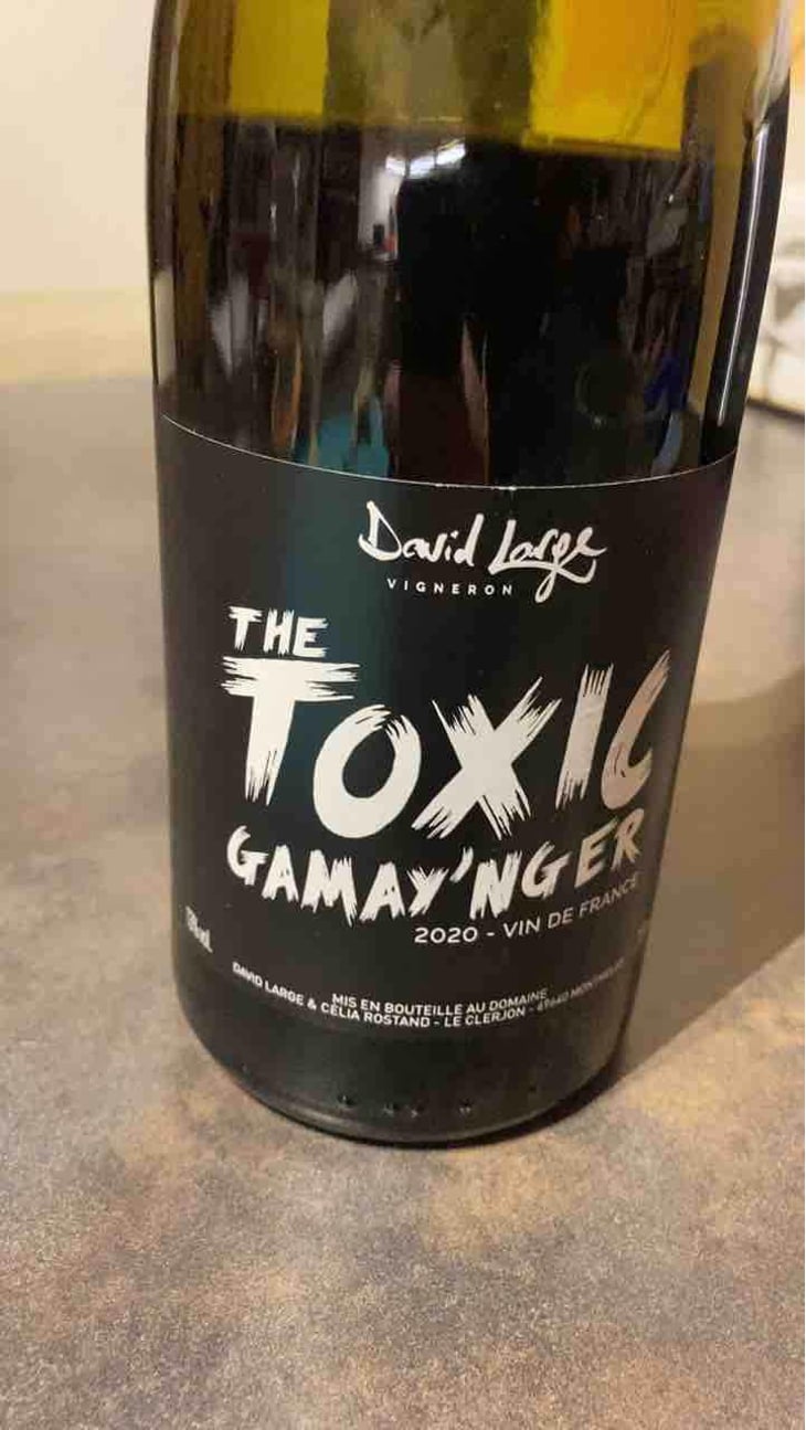 The Toxic Gamay'nger - David Large - Célia Rostand et David Large 