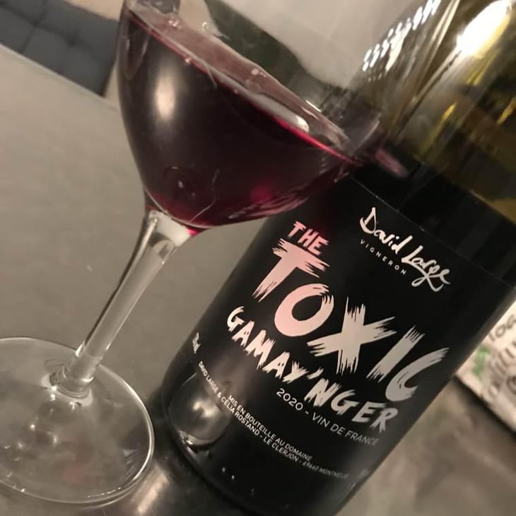 The Toxic Gamay'nger - David Large - Célia Rostand et David Large 