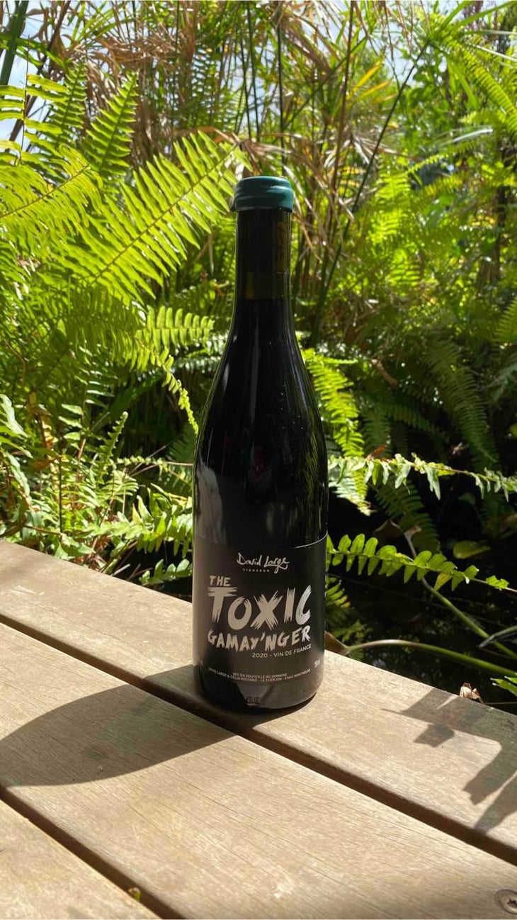 The Toxic Gamay'nger - David Large - Célia Rostand et David Large 