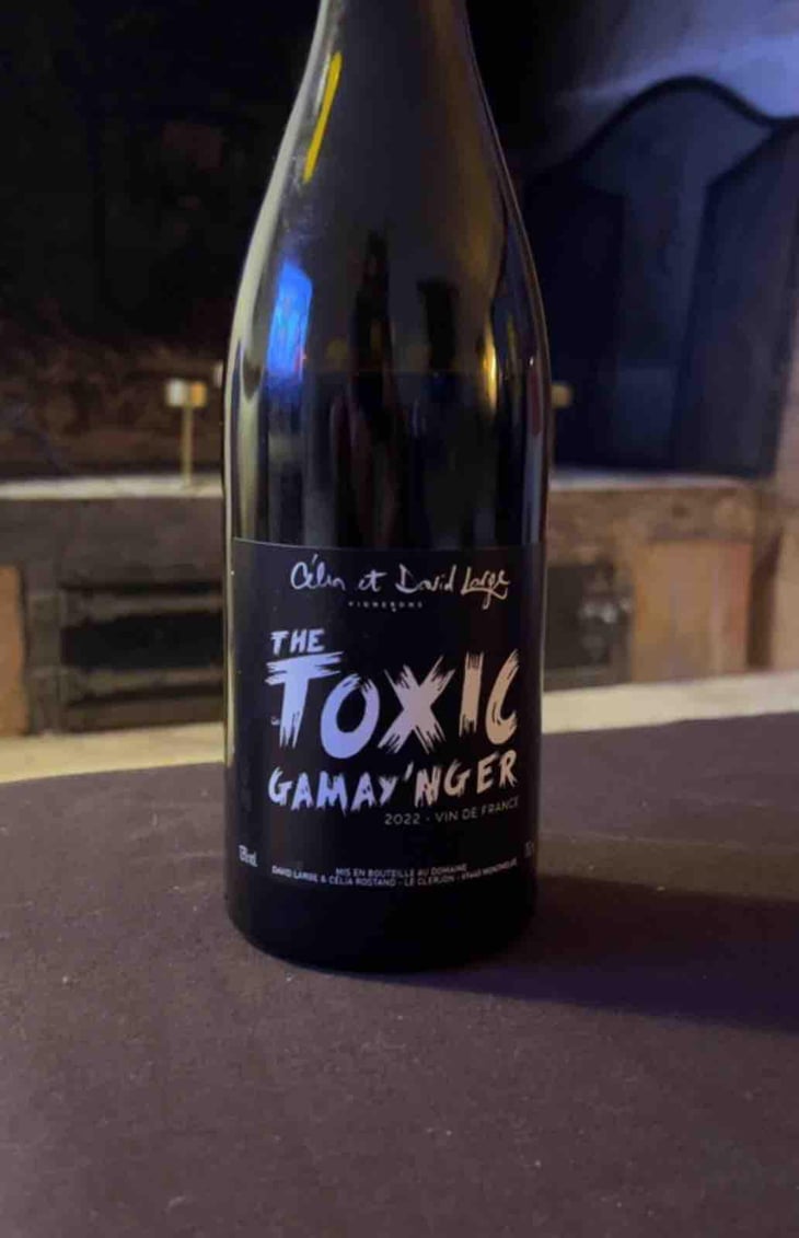 The Toxic Gamay'nger - David Large - Célia Rostand et David Large 