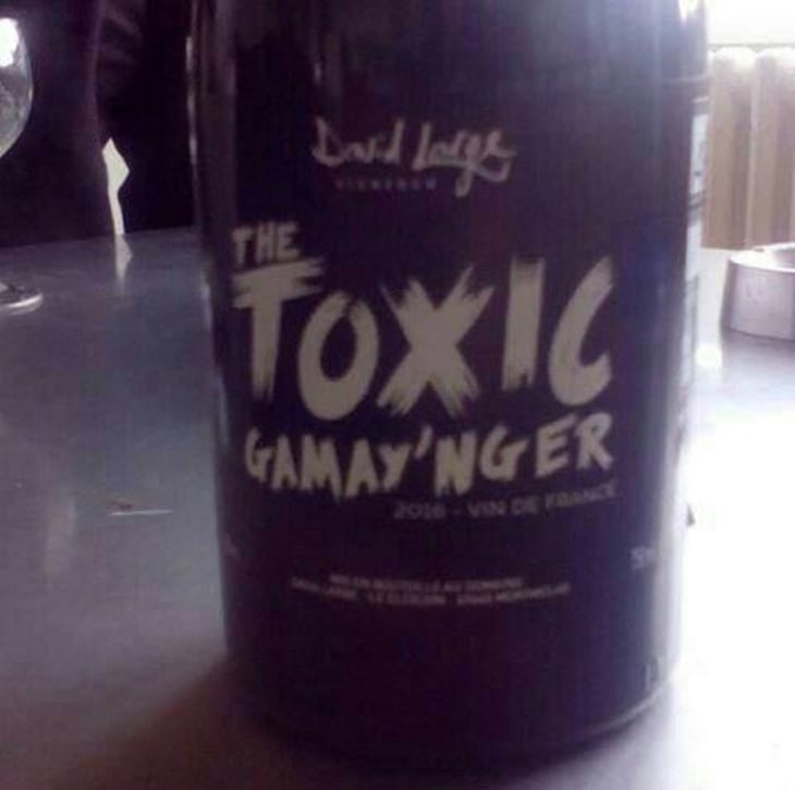 The Toxic Gamay'nger - David Large - Célia Rostand et David Large 