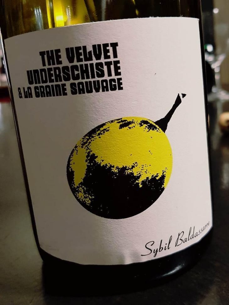 The Velvet Underschiste - La Graine Sauvage - Sybil Baldassarre 