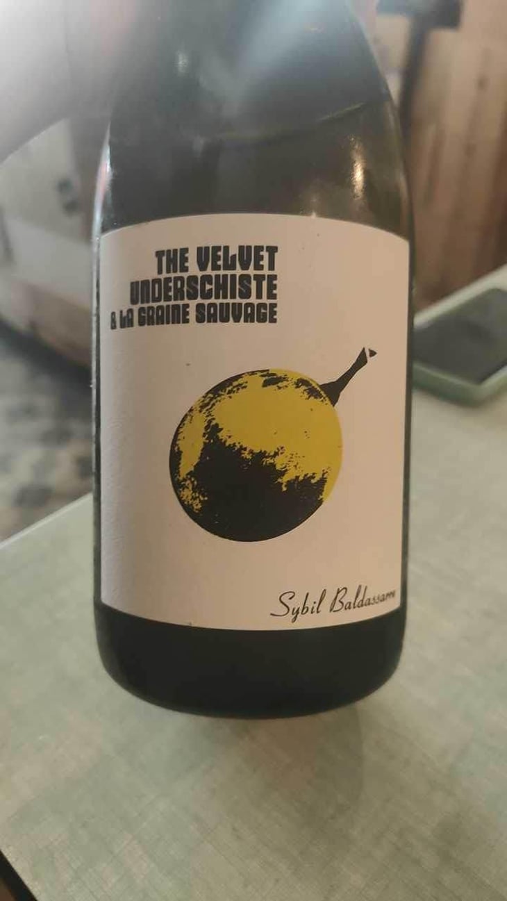 The Velvet Underschiste - La Graine Sauvage - Sybil Baldassarre 