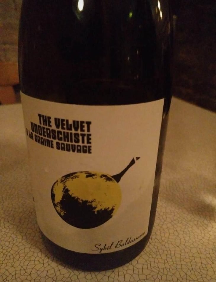 The Velvet Underschiste - La Graine Sauvage - Sybil Baldassarre 