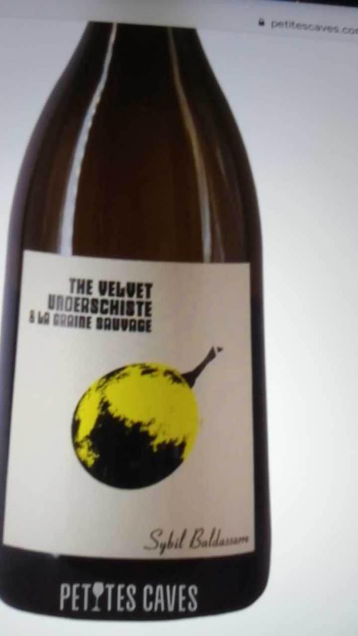 The Velvet Underschiste - La Graine Sauvage - Sybil Baldassarre 