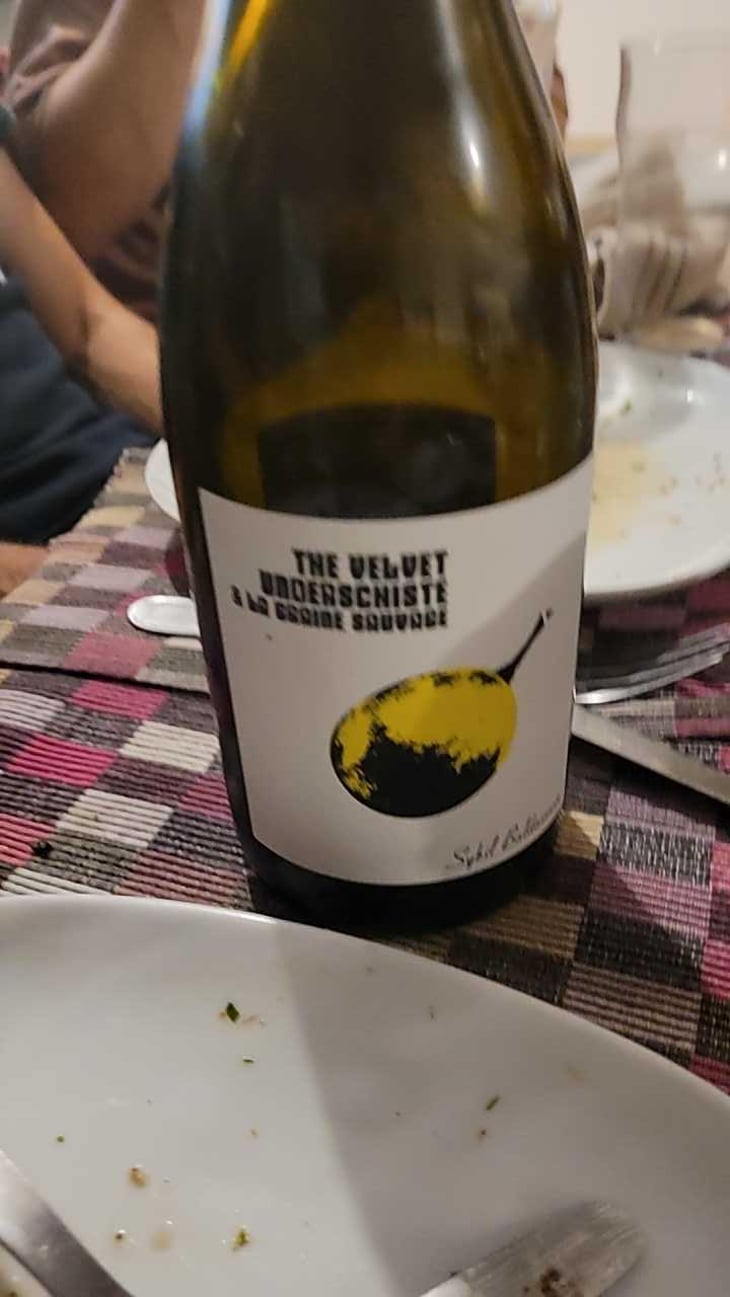 The Velvet Underschiste - La Graine Sauvage - Sybil Baldassarre 