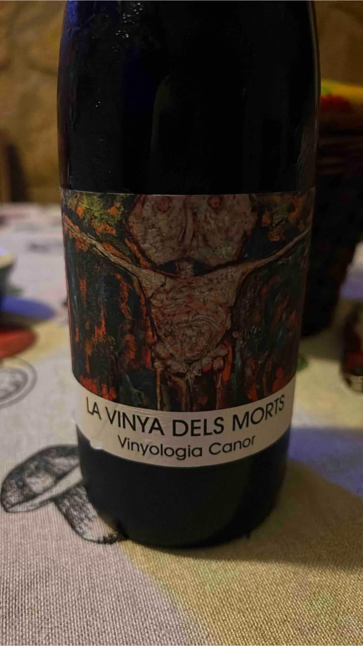Vinya dels Morts - Vinyologia Canor - Juan Tàrrega 