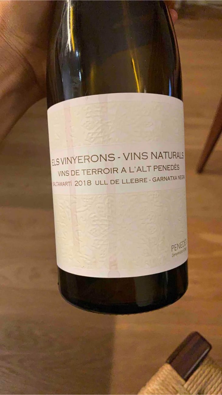 Saltamartí (Ull de Llebre, Garnatxa) - Els Vinyerons / Sin Project - Amós Bañeres Merinero & Alex Ruiz Masachs 