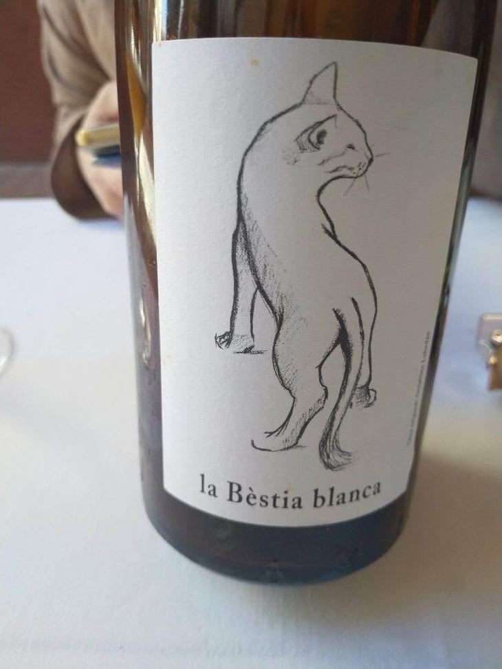La Bèstia Blanca - Empordà (Catalumya) - Quim Tura 
