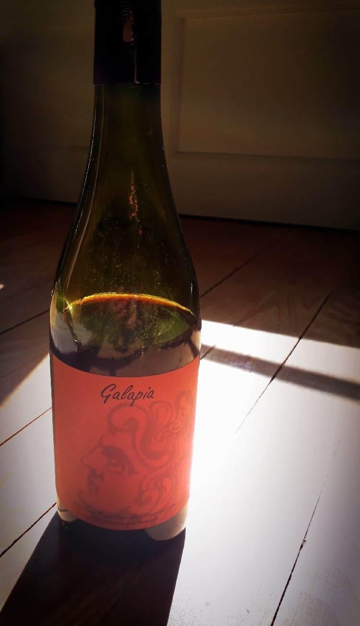 Galapia - Domaine Mouressipe - Pierre Saakovidi 