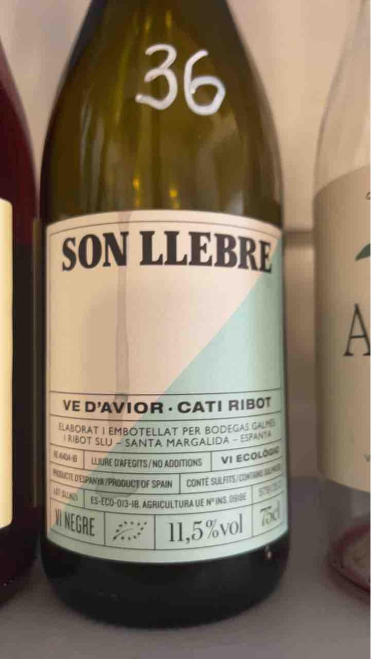 Son llebre negre - Ve d'Avior - Cati Ribot -2020