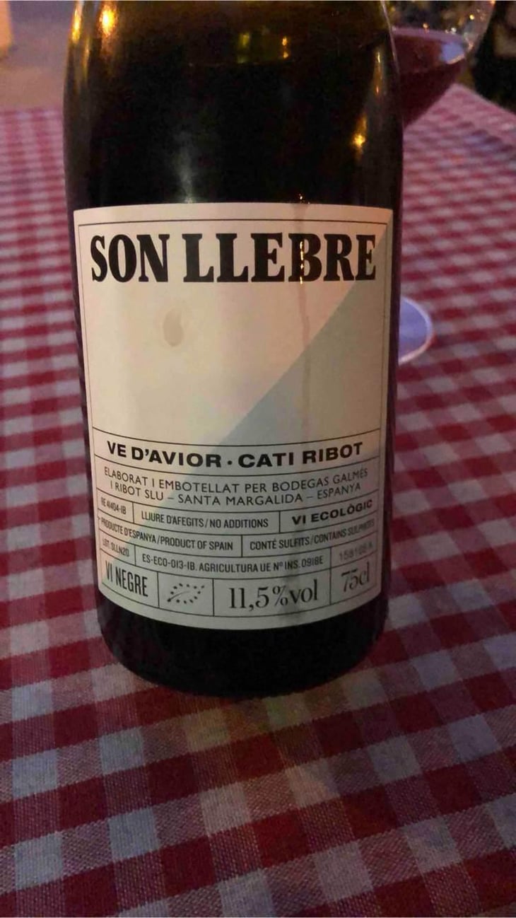 Son llebre negre - Ve d'Avior - Cati Ribot -2020