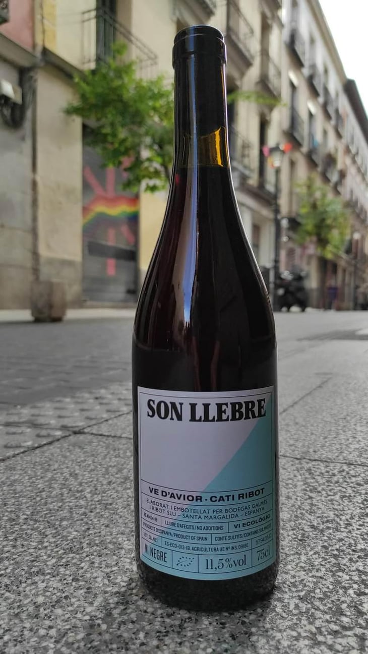 Son llebre negre - Ve d'Avior - Cati Ribot -2020