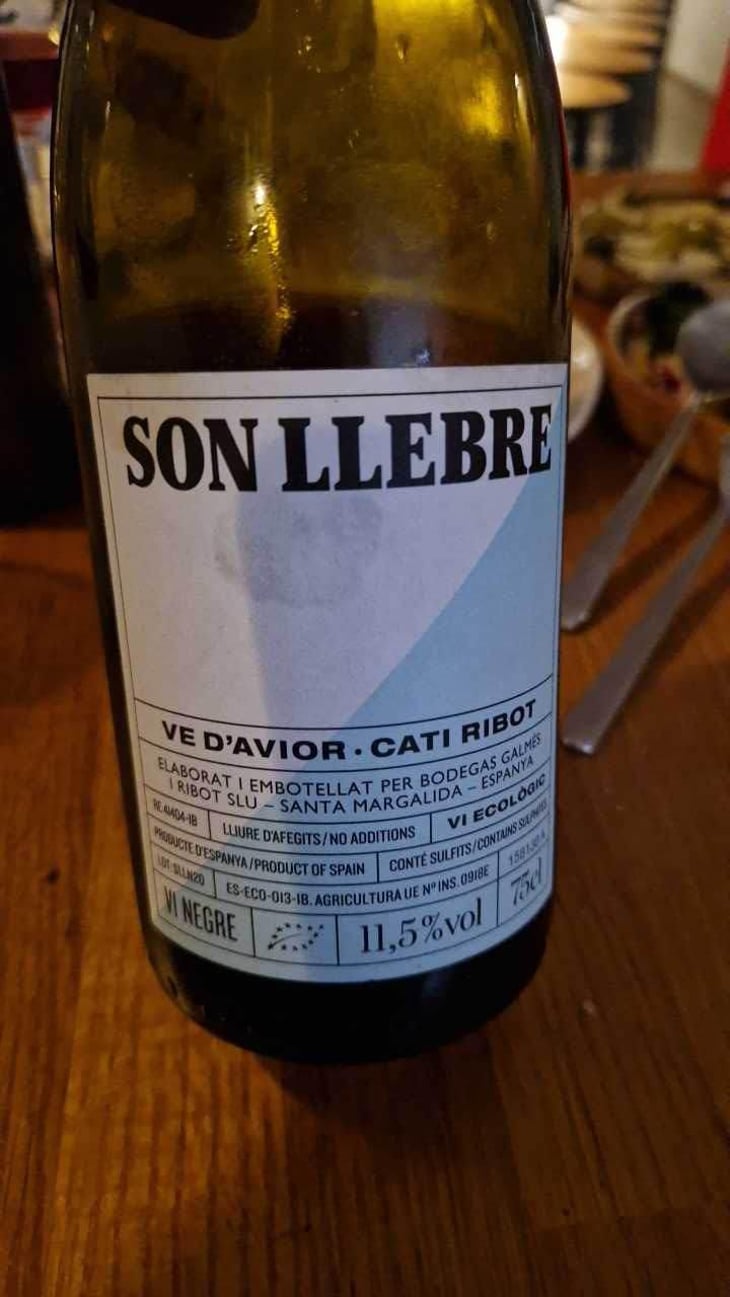 Son llebre negre - Ve d'Avior - Cati Ribot -2020