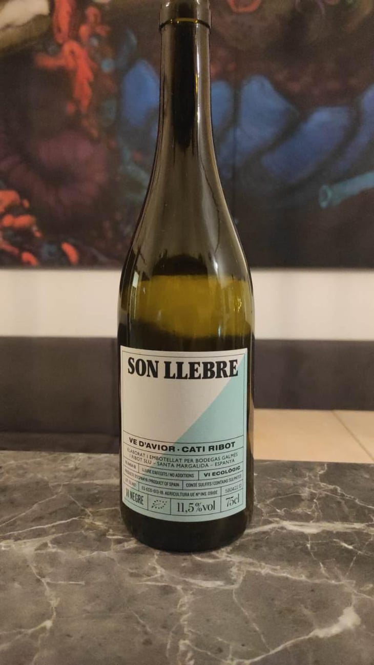 Son llebre negre - Ve d'Avior - Cati Ribot -2020