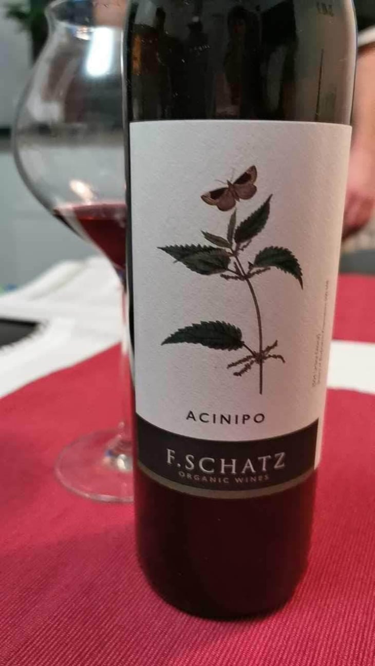 Acinipo - Bodegas Schatz - Friedrich Schatz 