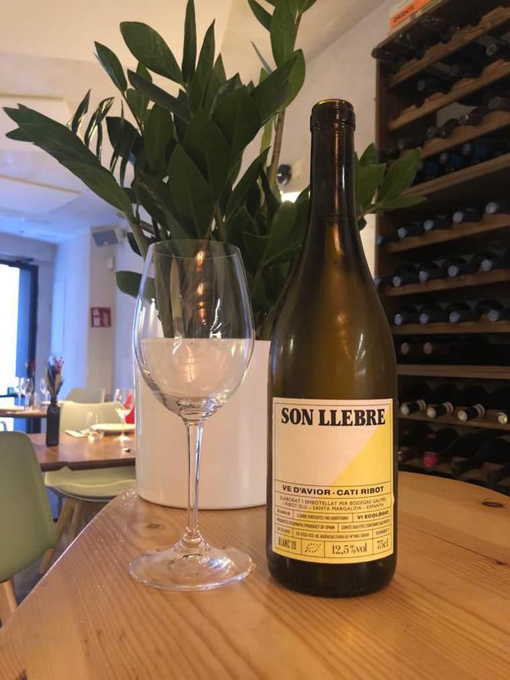 Son llebre blanc - Ve d'Avior - Cati Ribot 