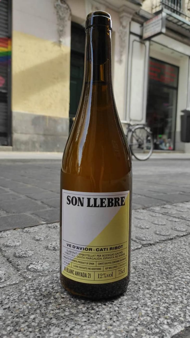 Son llebre blanc - Ve d'Avior - Cati Ribot 