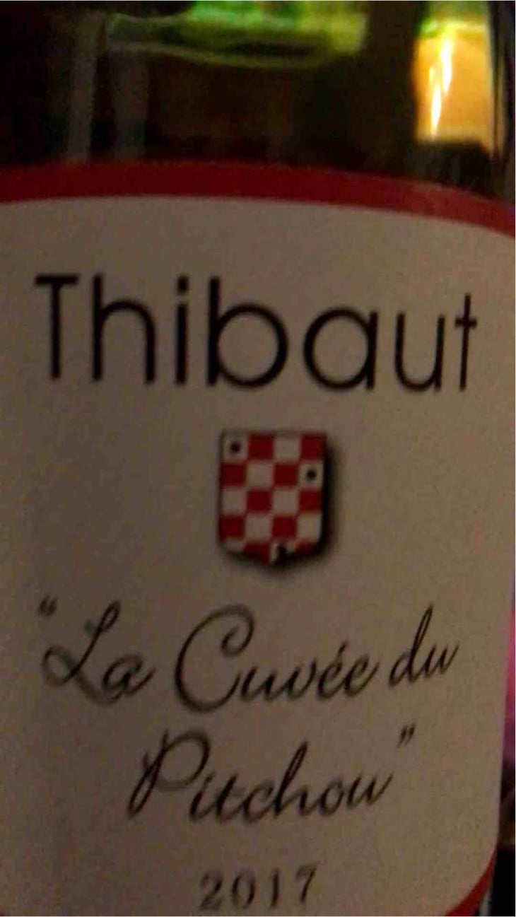 Thibaut "La Cuvée Du Pitchou" - Domaine Plaisance - Penavayre - Louis, Marc et Thibaut Penavayre 