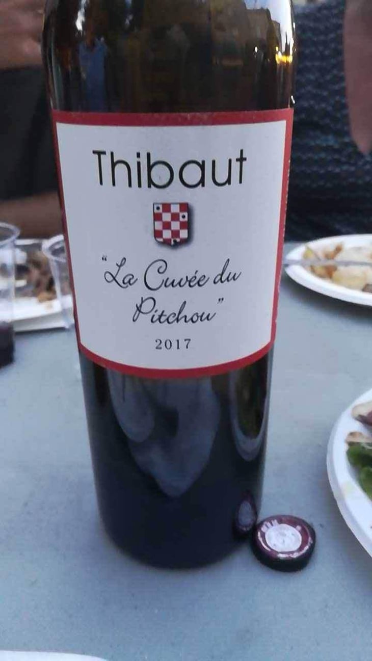 Thibaut "La Cuvée Du Pitchou" - Domaine Plaisance - Penavayre - Louis, Marc et Thibaut Penavayre 
