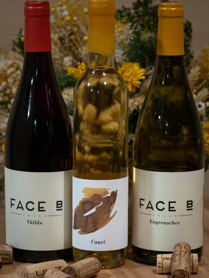 Thilda (old label) - Face B - Séverin Barioz & Mathilde Barioz - Ceccon 