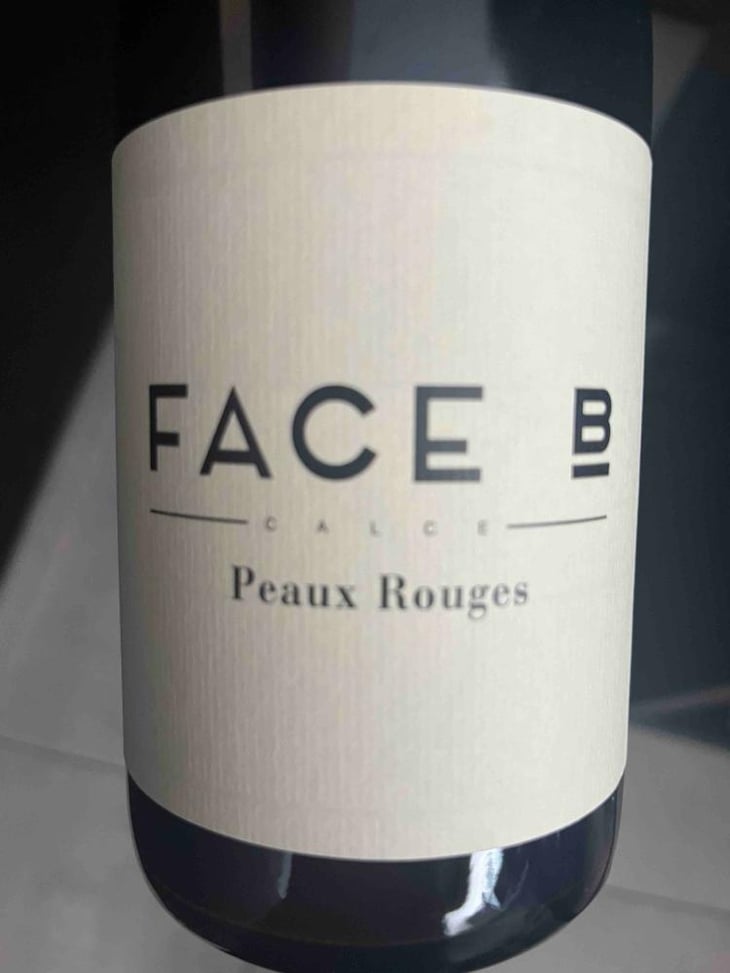 Thilda (new label) - Face B - Séverin Barioz & Mathilde Barioz - Ceccon 