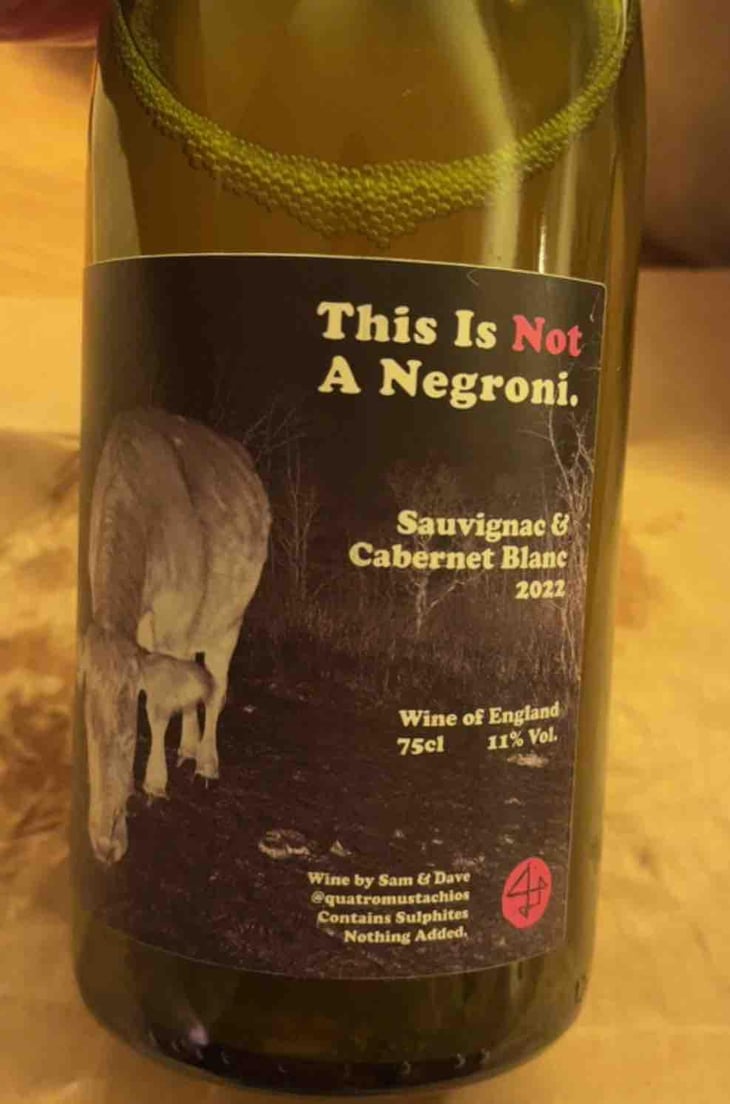 This is not a negroni - Quattro Mustachios - Sam Bunker & Dave Haynes -2022