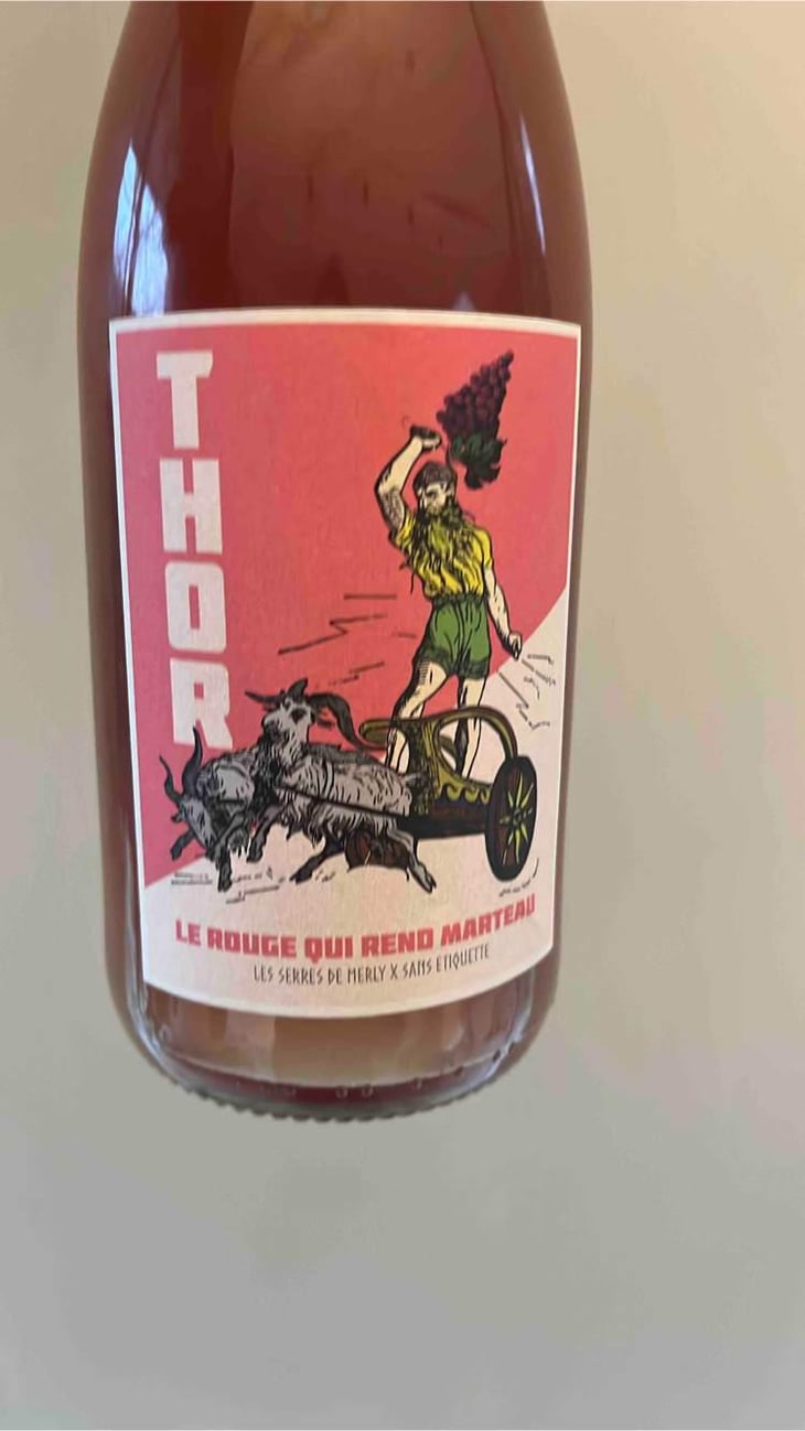 THOR - Le Rouge Qui Rend Marteau - Domaine Meïgoon - Saharnaz Ahangi et Gauthier Ollivier -2021