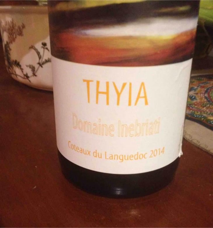 Thyia - Domaine Inebriati - Victor Beau 
