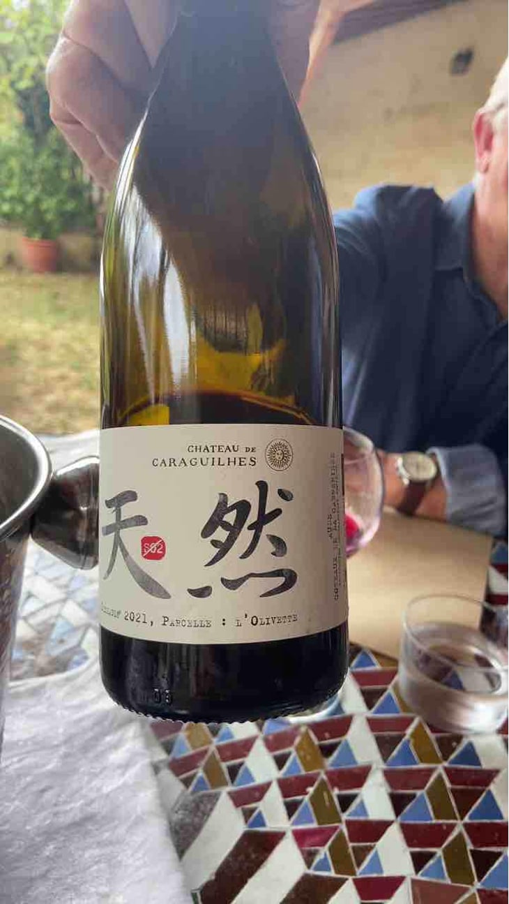 Tian Ran - Le Jardin - Château Des Caraguilhes - Benjamin Brunel 