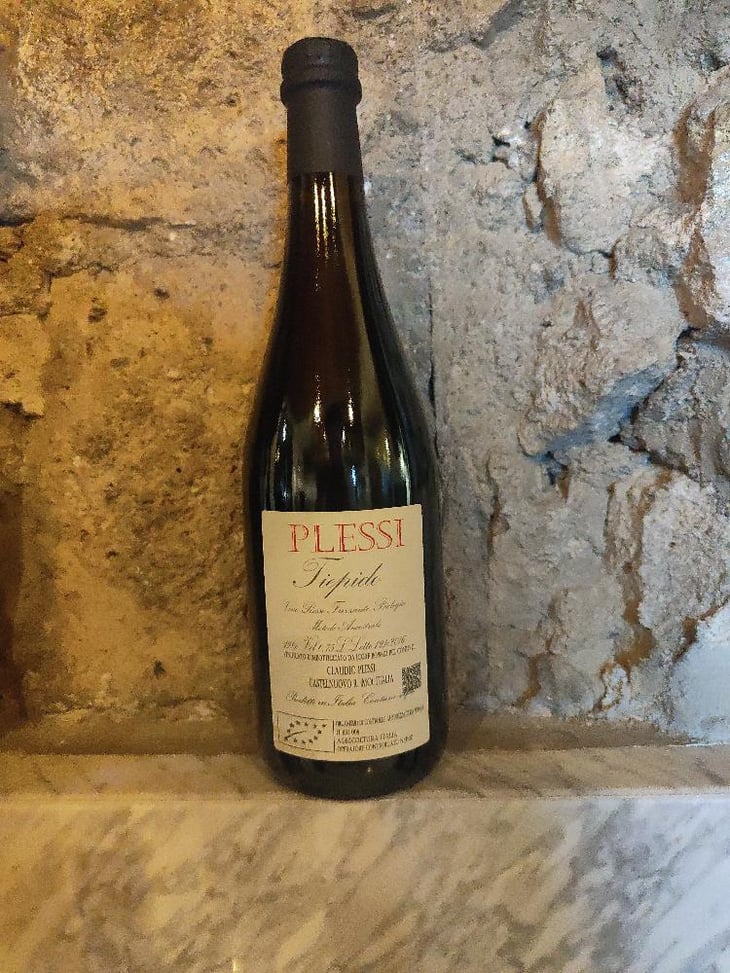 Tiepido - Plessi - Claudio Plessi -2017