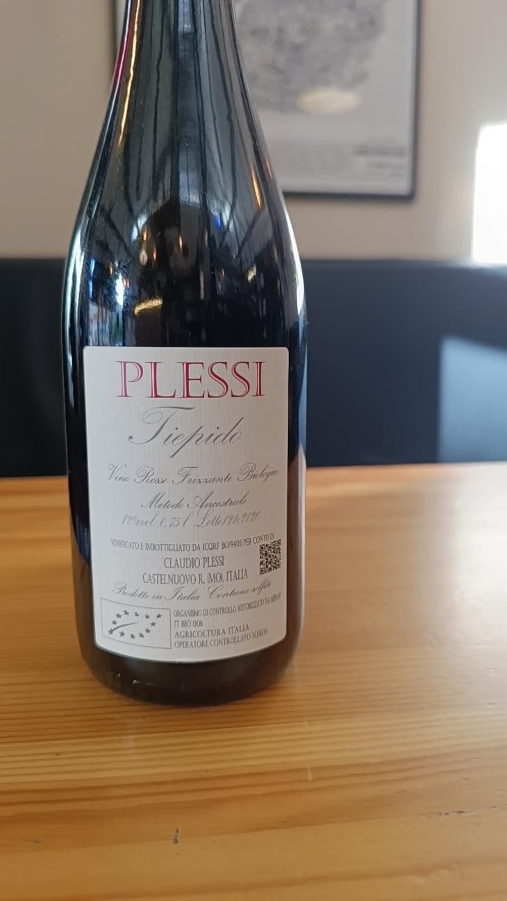 Tiepido - Plessi - Claudio Plessi -2017