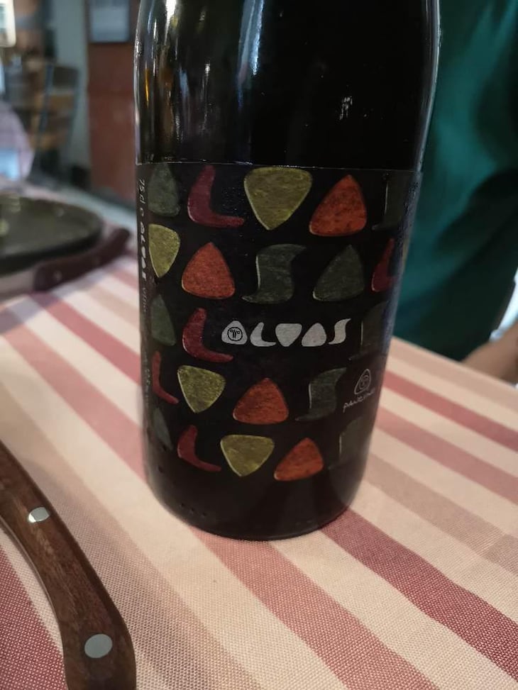 Alvas - Panevino - Gianfranco Manca 