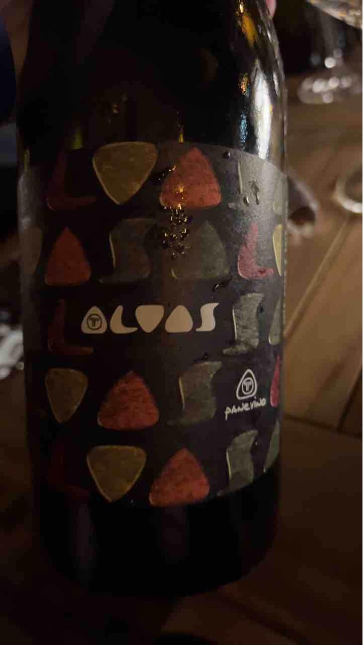 Alvas - Panevino - Gianfranco Manca 