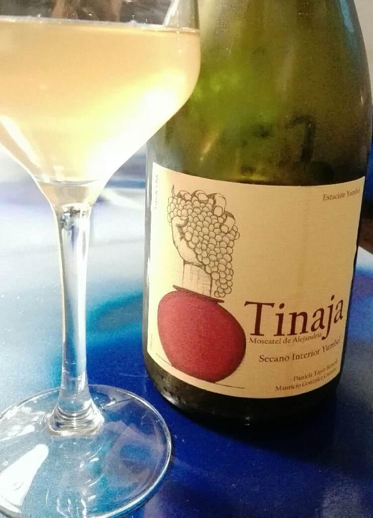 Tinaja - Agricola Estación Yumbel - Mauricio Gonzalez Carreño 