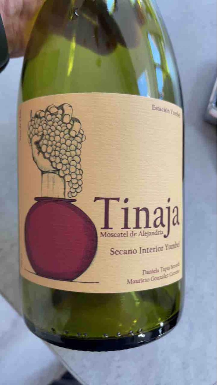 Tinaja - Agricola Estación Yumbel - Mauricio Gonzalez Carreño 