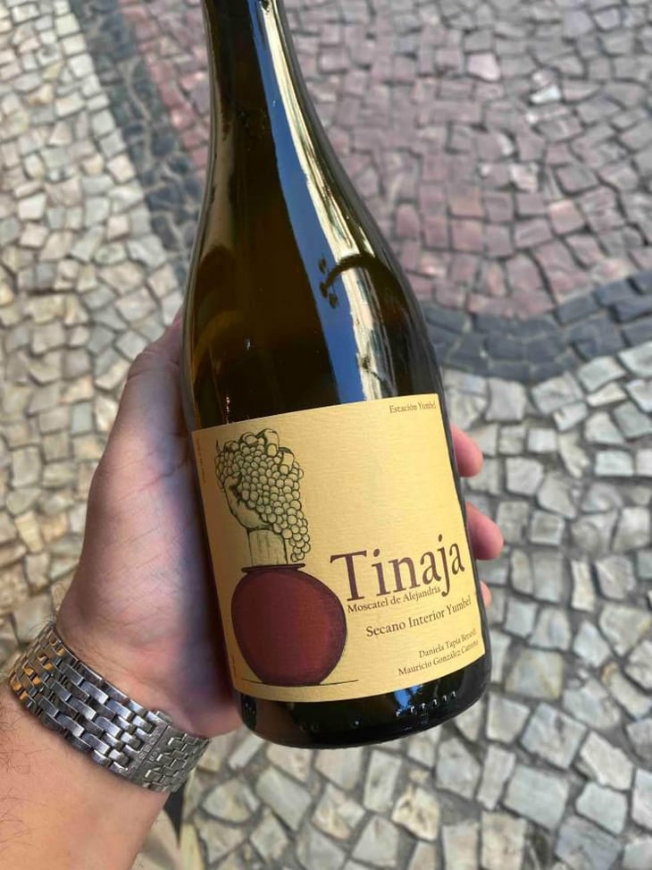 Tinaja - Agricola Estación Yumbel - Mauricio Gonzalez Carreño 