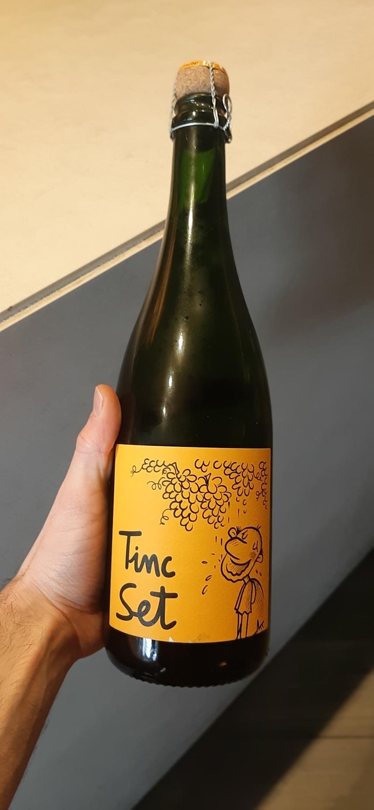 Tinc Set Ancestral - http://www.mascandi.com/ - Ramón Jané, Mercé Cuscó, Toni Carbó, Ramón Galimany -2022