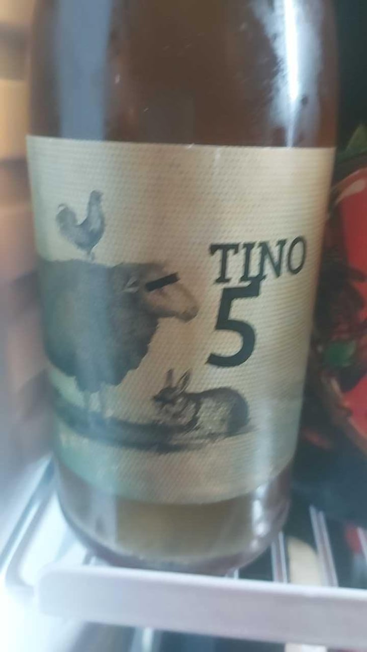 Tino 5 - Robb de Matt - Gabriele Calabrese & Gaetano Palumbo 