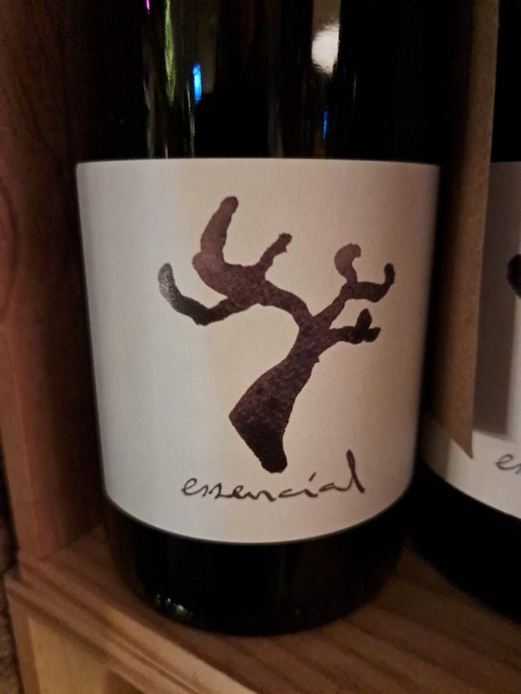 Essencial - Celler Cal Tiques - Joan Rubio 