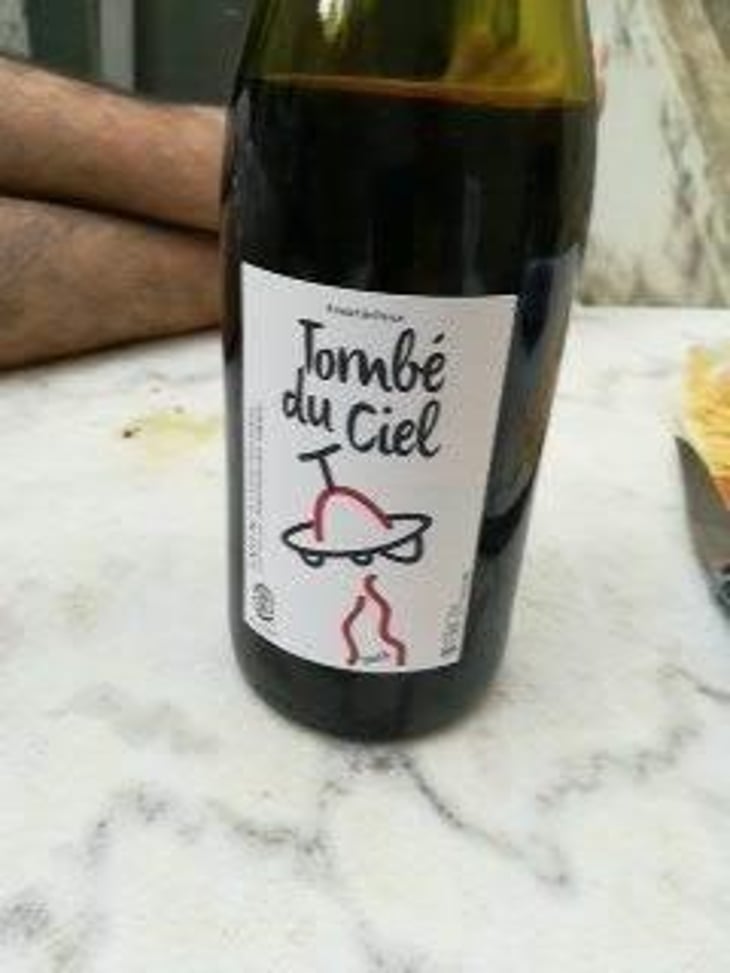Tombé Du Ciel (Rouge) - L'enclos Des Braves - Chantal & Nicolas Lebrun 