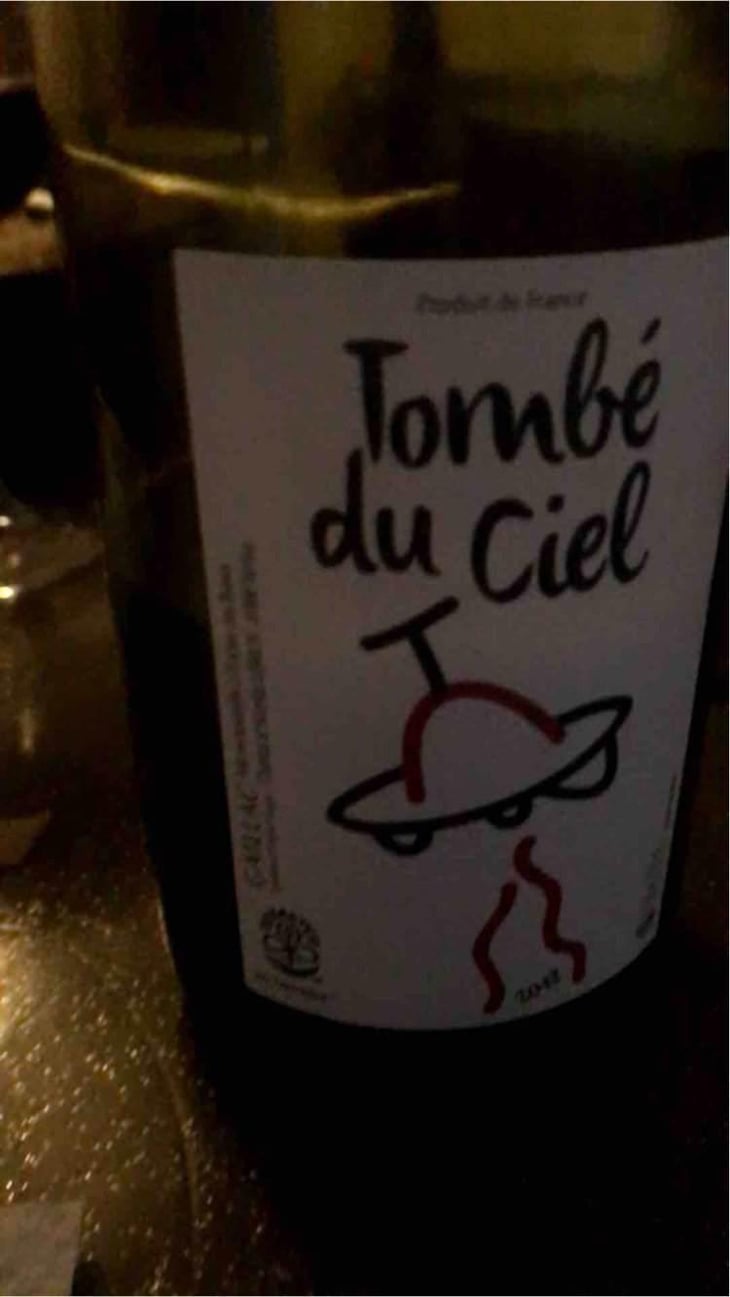 Tombé Du Ciel (Rouge) - L'enclos Des Braves - Chantal & Nicolas Lebrun 