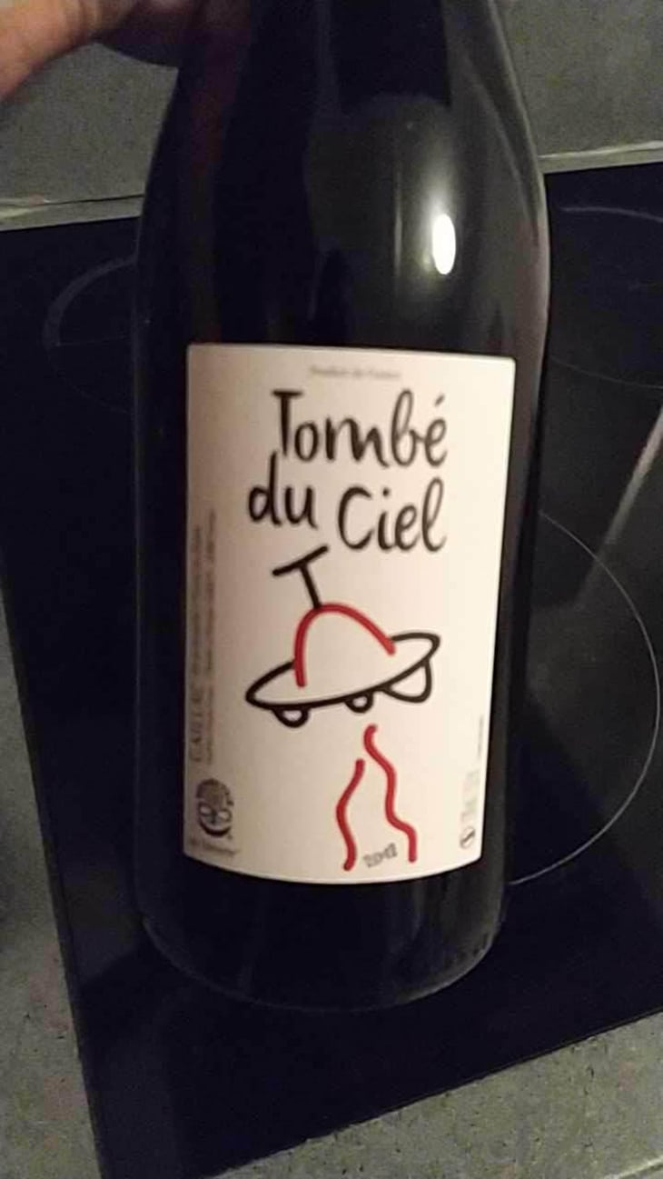 Tombé Du Ciel (Rouge) - L'enclos Des Braves - Chantal & Nicolas Lebrun 