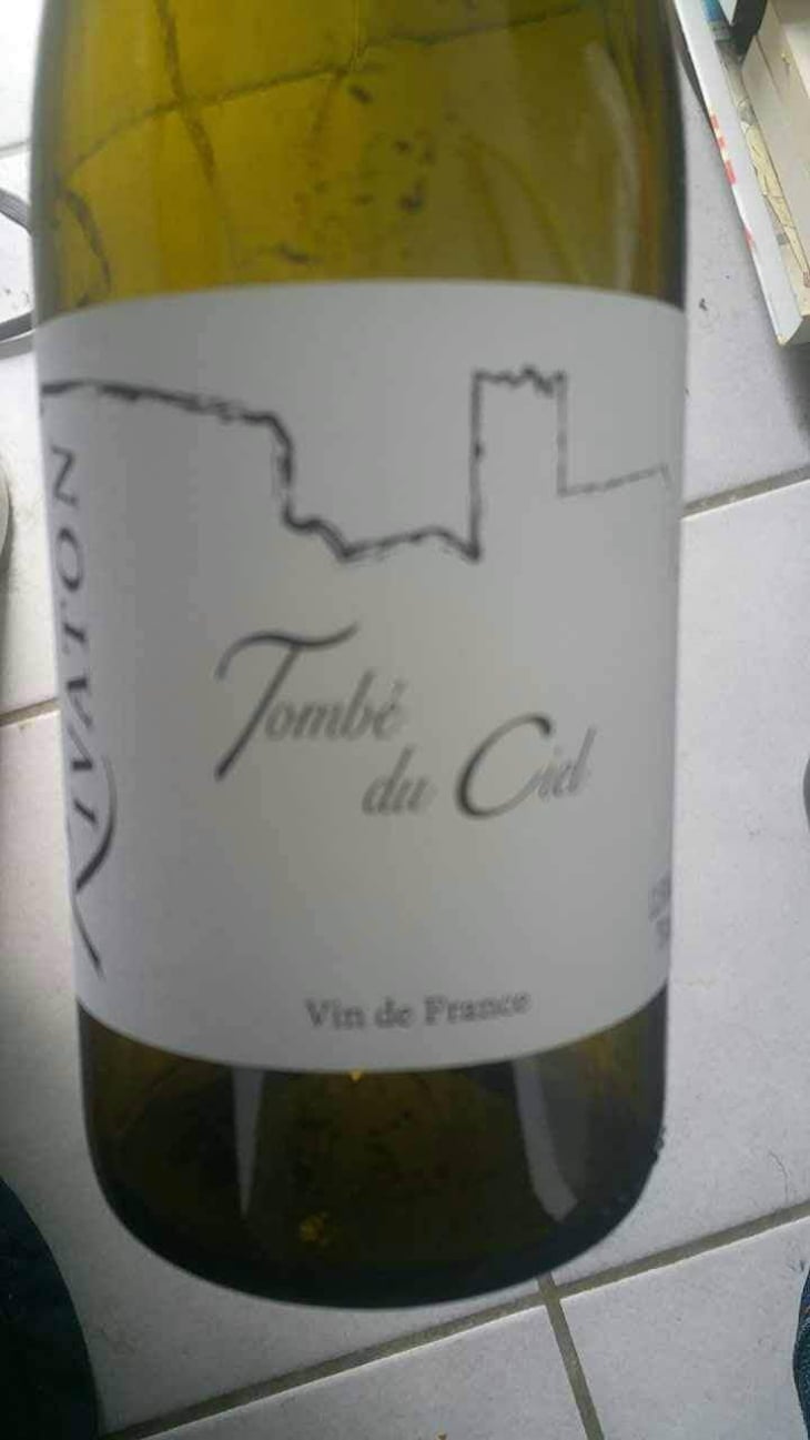 Tombé du ciel - Domaine Rivaton - Frédéric Rivaton 