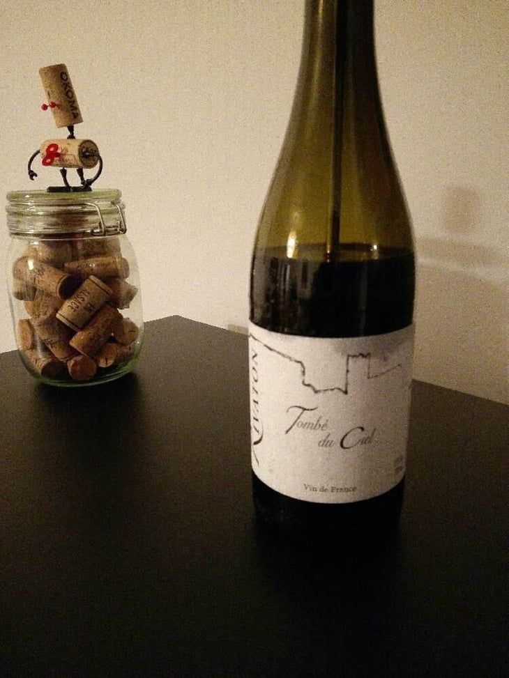 Tombé du ciel - Domaine Rivaton - Frédéric Rivaton 
