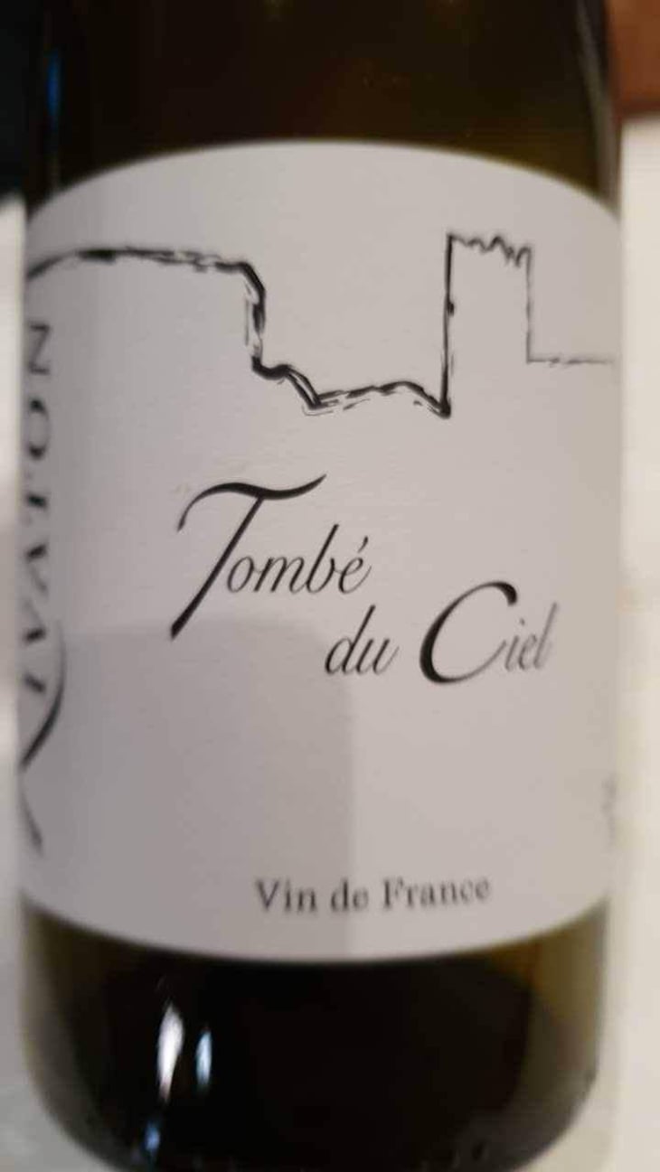 Tombé du ciel - Domaine Rivaton - Frédéric Rivaton 