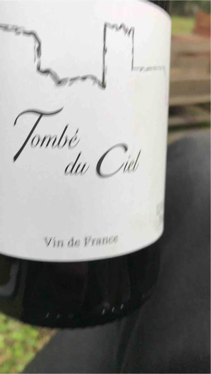 Tombé du ciel - Domaine Rivaton - Frédéric Rivaton 