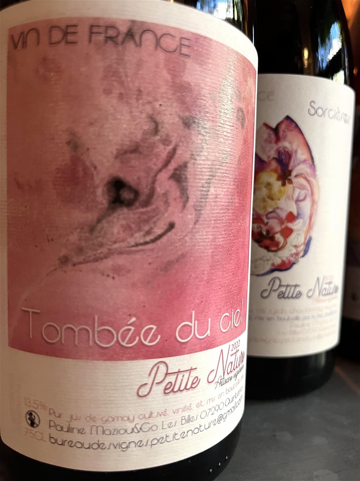 Tombée du Ciel - Petite Nature - Pauline Maziou 